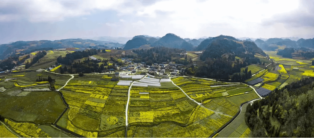 拉斯维加斯9888(中国游)官方网站