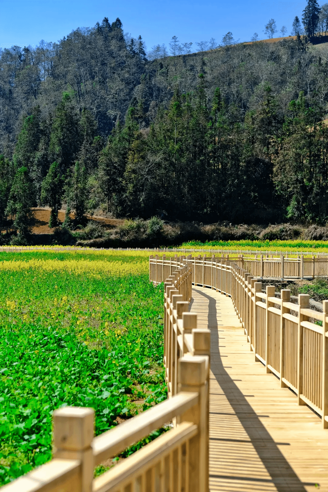 拉斯维加斯9888(中国游)官方网站