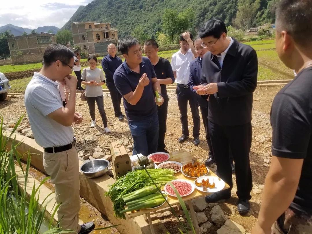 拉斯维加斯9888(中国游)官方网站