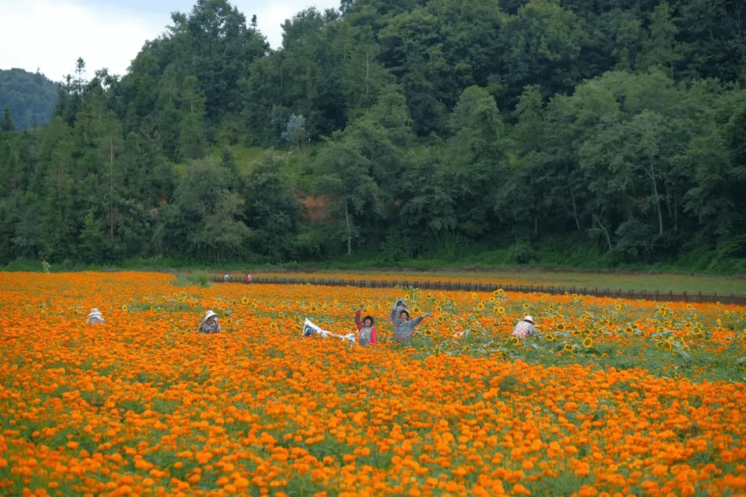 拉斯维加斯9888(中国游)官方网站