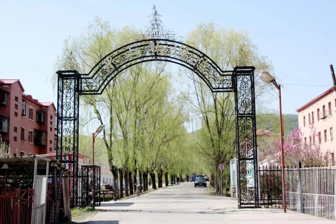 拉斯维加斯9888(中国游)官方网站